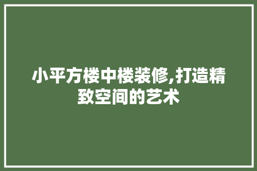 小平方楼中楼装修,打造精致空间的艺术
