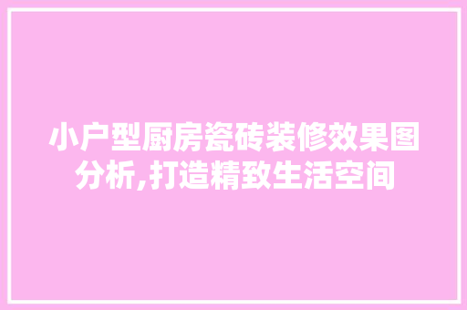 小户型厨房瓷砖装修效果图分析,打造精致生活空间 软装设计