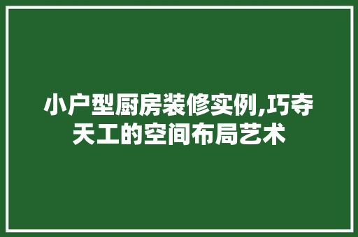 小户型厨房装修实例,巧夺天工的空间布局艺术 现代风格装饰