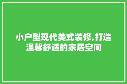 小户型现代美式装修,打造温馨舒适的家居空间 地板材料