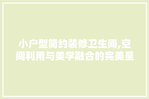 小户型简约装修卫生间,空间利用与美学融合的完美呈现 现代风格装饰