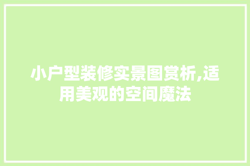 小户型装修实景图赏析,适用美观的空间魔法 家居装修