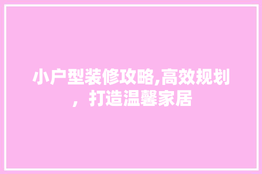小户型装修攻略,高效规划，打造温馨家居 软装设计
