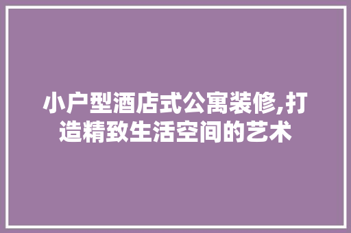 小户型酒店式公寓装修,打造精致生活空间的艺术 室内设计