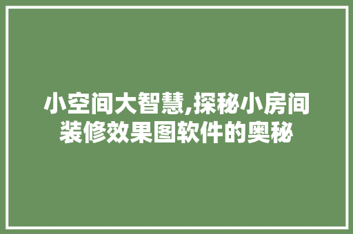 小空间大智慧,探秘小房间装修效果图软件的奥秘 客厅装修