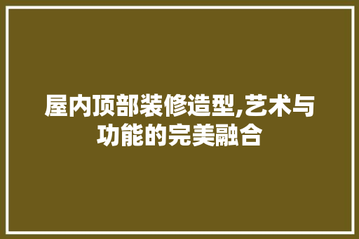 屋内顶部装修造型,艺术与功能的完美融合