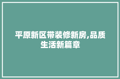 平原新区带装修新房,品质生活新篇章 卧室装修