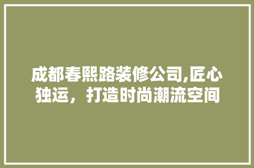 成都春熙路装修公司,匠心独运，打造时尚潮流空间