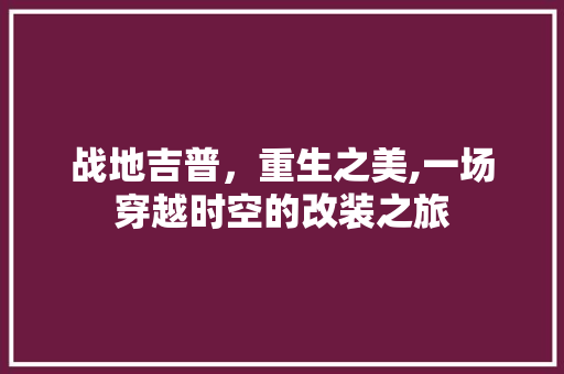 战地吉普，重生之美,一场穿越时空的改装之旅 卧室装修