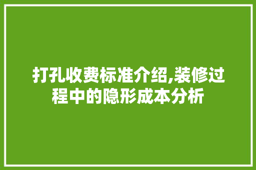 打孔收费标准介绍,装修过程中的隐形成本分析 现代风格装饰