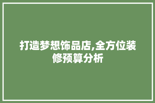 打造梦想饰品店,全方位装修预算分析 现代风格装饰