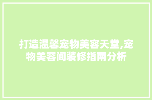 打造温馨宠物美容天堂,宠物美容间装修指南分析 现代风格装饰