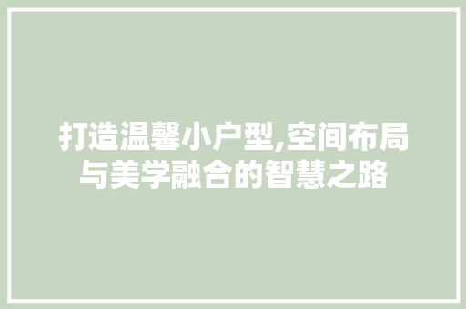打造温馨小户型,空间布局与美学融合的智慧之路 客厅装修