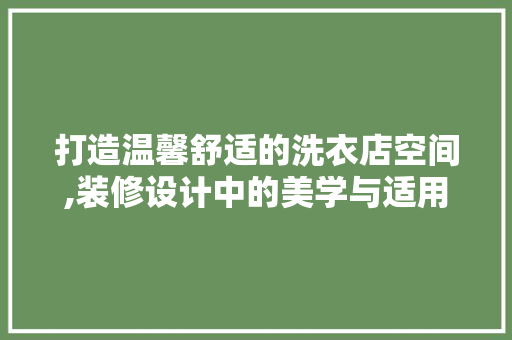 打造温馨舒适的洗衣店空间,装修设计中的美学与适用性 软装设计