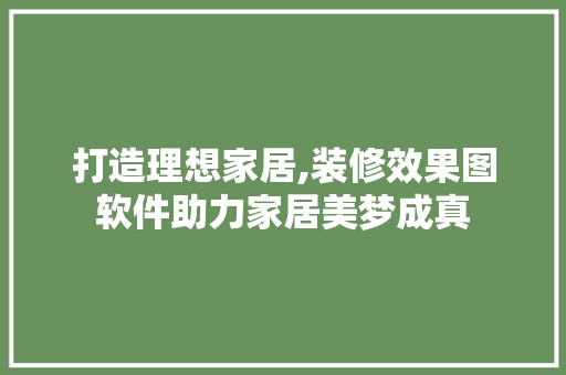 打造理想家居,装修效果图软件助力家居美梦成真 现代风格装饰