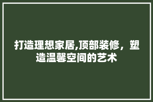 打造理想家居,顶部装修，塑造温馨空间的艺术 木雕艺术