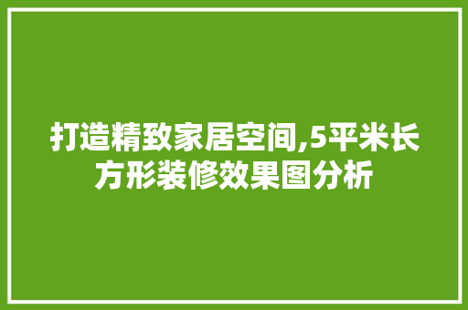打造精致家居空间,5平米长方形装修效果图分析 地板材料