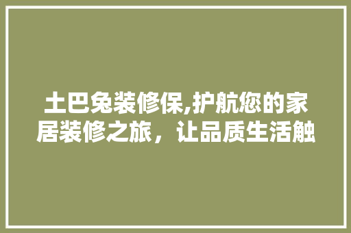 土巴兔装修保,护航您的家居装修之旅，让品质生活触手可及 软装设计