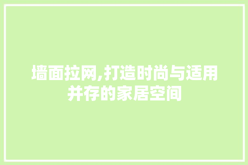 墙面拉网,打造时尚与适用并存的家居空间 现代风格装饰