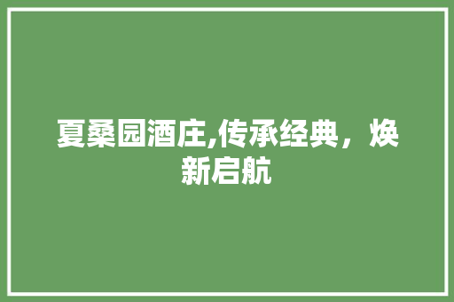 夏桑园酒庄,传承经典，焕新启航 现代风格装饰