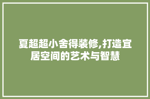 夏超超小舍得装修,打造宜居空间的艺术与智慧 家居装修