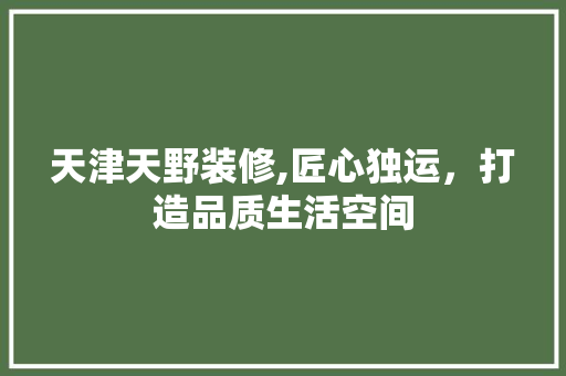天津天野装修,匠心独运，打造品质生活空间 现代风格装饰