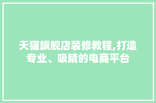 天猫旗舰店装修教程,打造专业、吸睛的电商平台