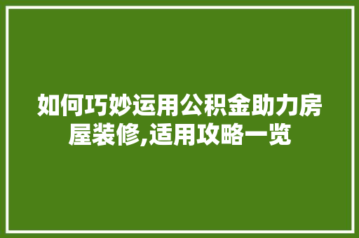 如何巧妙运用公积金助力房屋装修,适用攻略一览 木雕艺术