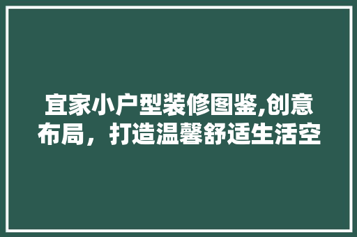 宜家小户型装修图鉴,创意布局，打造温馨舒适生活空间 室内设计