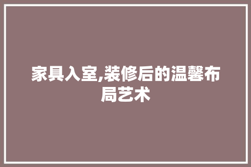 家具入室,装修后的温馨布局艺术 室内设计