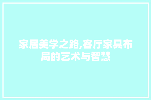 家居美学之路,客厅家具布局的艺术与智慧 客厅装修