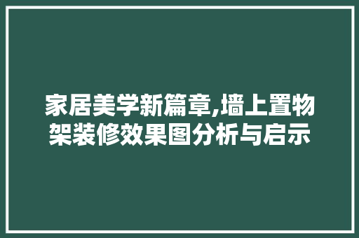 家居美学新篇章,墙上置物架装修效果图分析与启示 地板材料