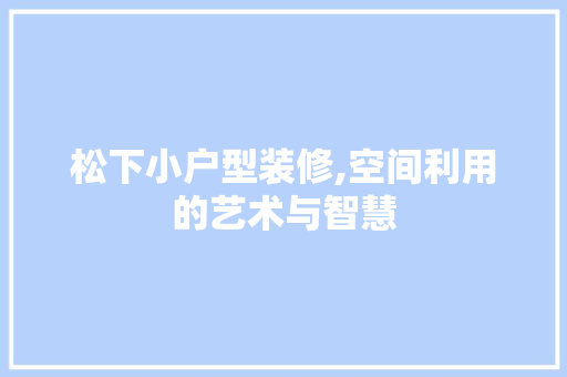 松下小户型装修,空间利用的艺术与智慧 室内设计
