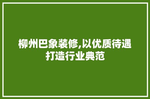 柳州巴象装修,以优质待遇打造行业典范