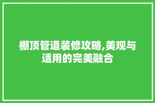 棚顶管道装修攻略,美观与适用的完美融合