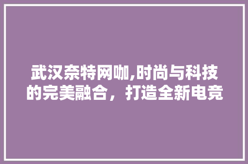 武汉奈特网咖,时尚与科技的完美融合，打造全新电竞娱乐体验 软装设计