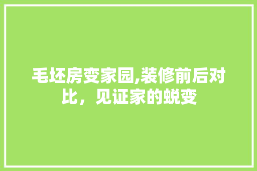 毛坯房变家园,装修前后对比，见证家的蜕变 木雕艺术