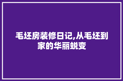 毛坯房装修日记,从毛坯到家的华丽蜕变 家居装修