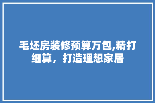 毛坯房装修预算万包,精打细算，打造理想家居 软装设计
