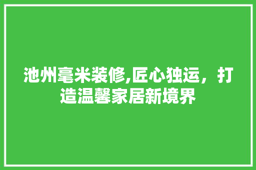 池州毫米装修,匠心独运，打造温馨家居新境界