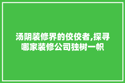 汤阴装修界的佼佼者,探寻哪家装修公司独树一帜 现代风格装饰