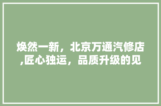 焕然一新，北京万通汽修店,匠心独运，品质升级的见证 现代风格装饰