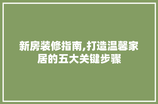 新房装修指南,打造温馨家居的五大关键步骤 客厅装修