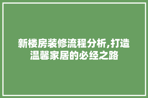 新楼房装修流程分析,打造温馨家居的必经之路 木雕艺术