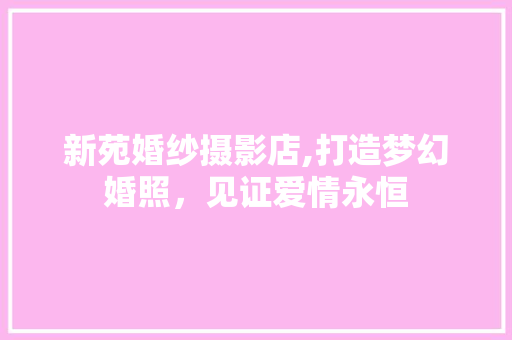 新苑婚纱摄影店,打造梦幻婚照，见证爱情永恒 客厅装修