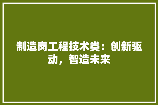制造岗工程技术类：创新驱动，智造未来