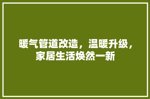 暖气管道改造，温暖升级，家居生活焕然一新