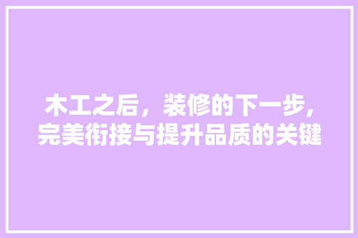 木工之后，装修的下一步,完美衔接与提升品质的关键步骤 家居装修