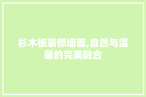 杉木板装修墙面,自然与温馨的完美融合 地板材料