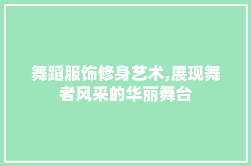 舞蹈服饰修身艺术,展现舞者风采的华丽舞台